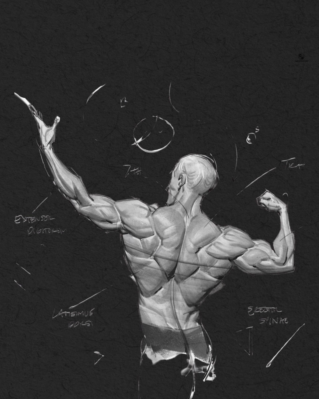 unknown Article illustration image